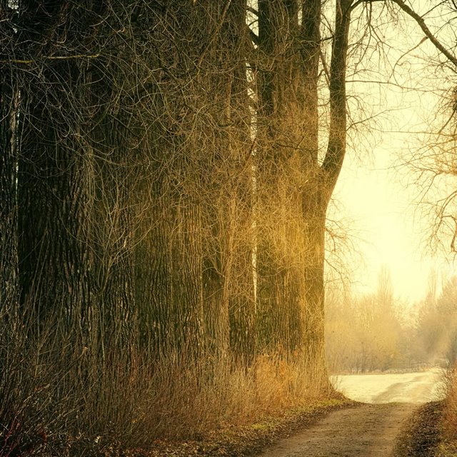 Søndag 12. april KL. 11.00: Din gudstjeneste