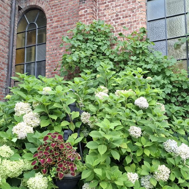LØRDAGSÅPEN KIRKE OG BAKGÅRD