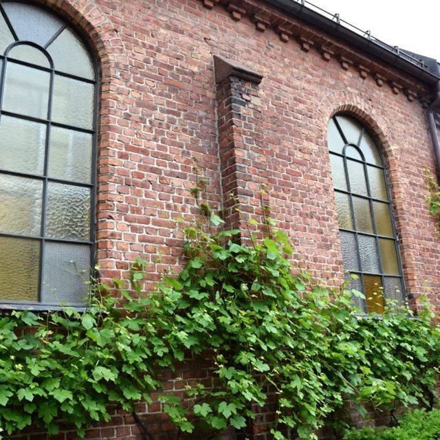 Åpen kirke og bakgård
