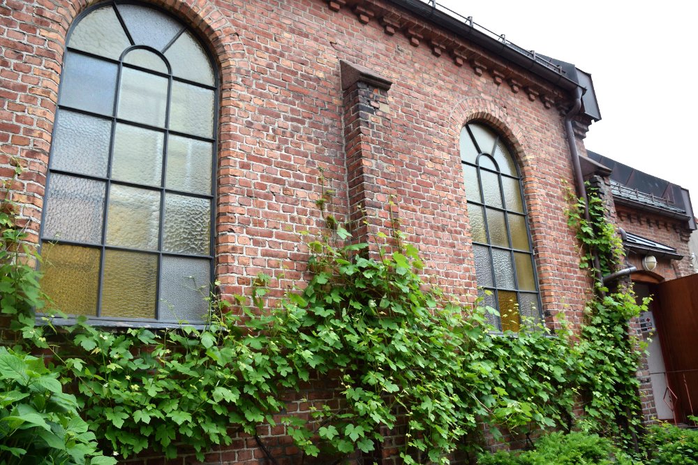 5bakgarden