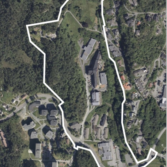 Informasjonsmøte
