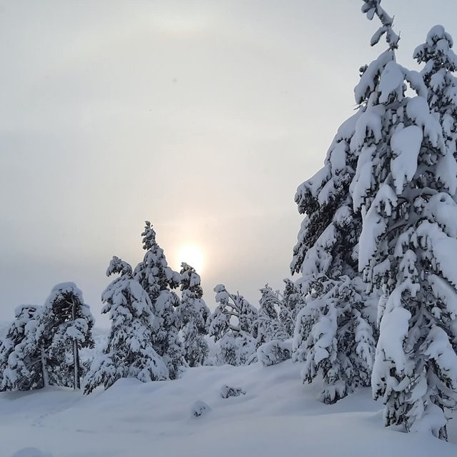 Søndag 11. januar Kl. 11.00: GUDSTJENESTE