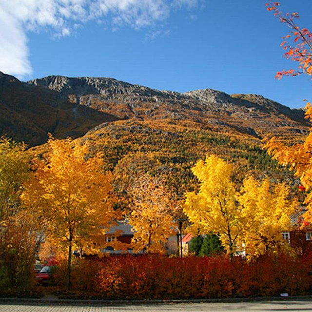Søndag 19. oktober Menighetens høstofferdag
