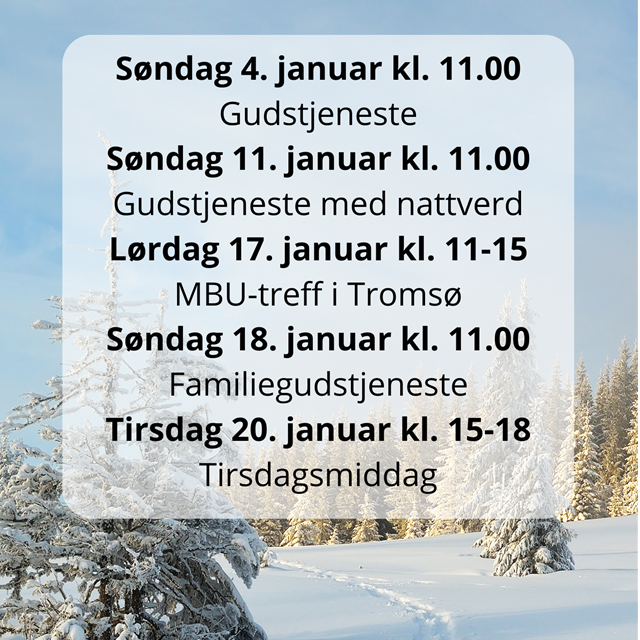 Program januar
